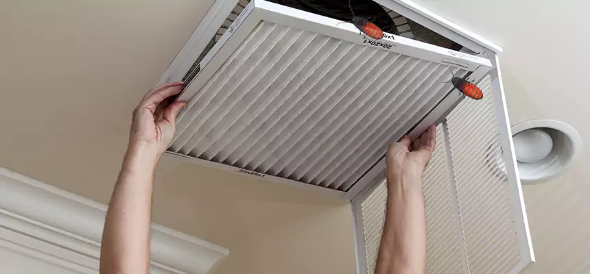 Preventive Cockroach-Proofing for Ducts in Rogers