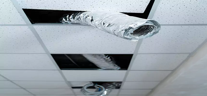 Our Air Duct Pet Hair Removal Services in Rogers, AR