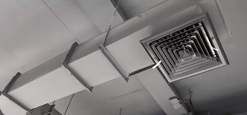 Our Pest Removal From Ducts Services in Rogers, AR