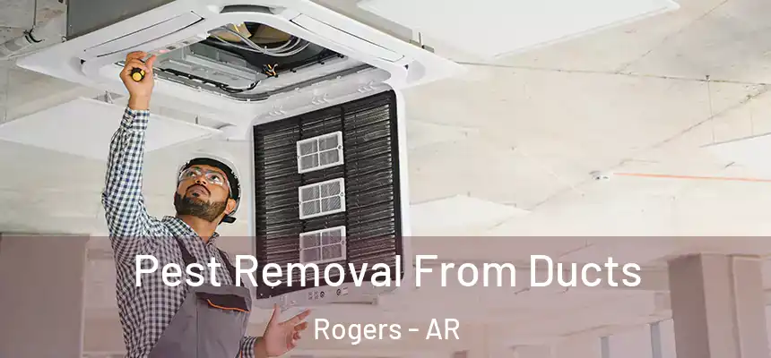  Pest Removal From Ducts Rogers - AR