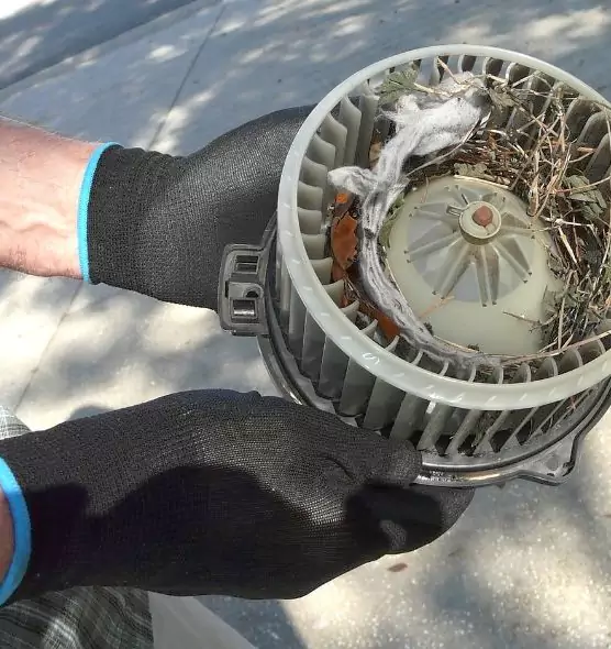 About Air Duct Mice Removal in Rogers, AR