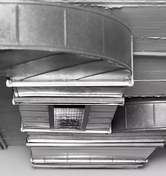 Professional Air Duct Pest Removal in Rogers, AR