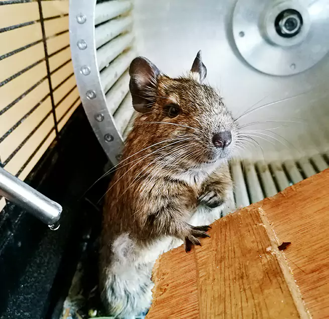 Why Homeowners & Businesses Trust Us Rogers, AR?